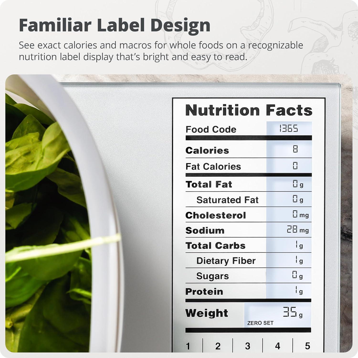 Bilancia da Cucina in Acciaio  - Meal Prep Weight Loss recensione e prezzo